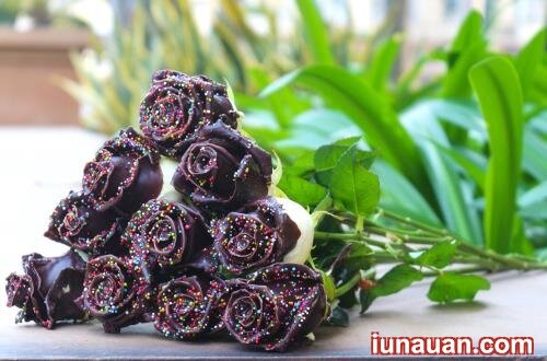 Ảnh minh họa 5 - Những món quà tặng từ hoa hồng độc lạ ngày 8/3 !