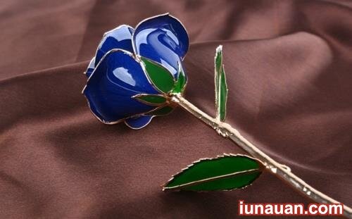 Ảnh minh họa 3 - Những món quà tặng từ hoa hồng độc lạ ngày 8/3 !