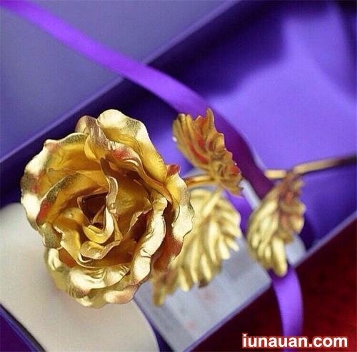 Ảnh minh họa 1 - Những món quà tặng từ hoa hồng độc lạ ngày 8/3 !