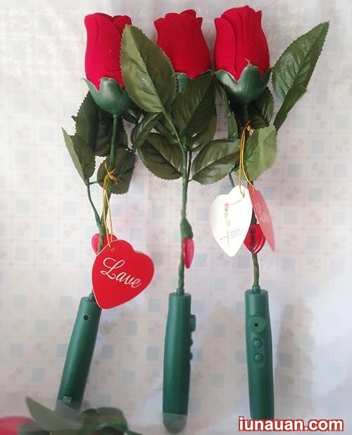 Ảnh minh họa 4 - Những món quà tặng từ hoa hồng độc lạ ngày 8/3 !