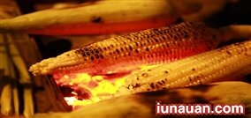 5 món nướng ngon tuyệt cho buổi chiều thu !