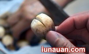 Ảnh minh họa 3 - Cách làm món nấm rơm xào thịt siêu ngon, siêu dễ giúp chàng khỏe hơn !