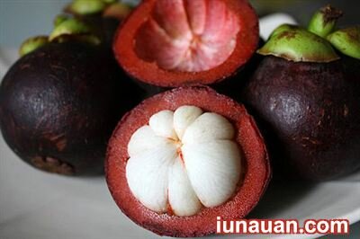 Ảnh minh họa 1 - Mẹo chọn quả măng cụt trăm quả như một !