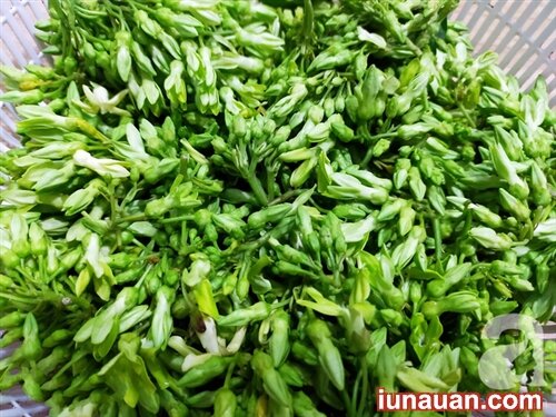 Ảnh minh họa 3 - Ngọt mát bổ dưỡng với cách làm món canh thiên lý nấu tôm dễ ăn cho ngày nắng nóng !