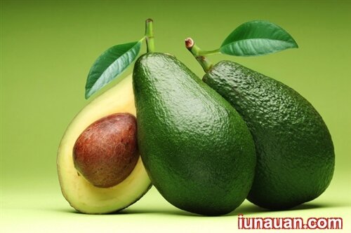 Ảnh minh họa 2 - Cách bảo quản bơ tươi ngon trong nhiều tháng không sợ bị hỏng !