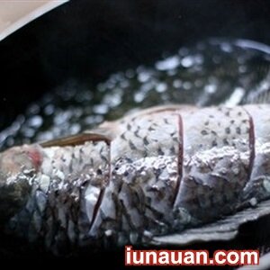 Ảnh minh họa 4 - Đón rét nàng Bân với món lẩu cá chép dưa cải chua nóng hổi vừa thổi vừa ăn !