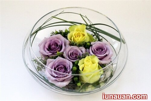Ảnh minh họa 6 - Cách cắm hoa hồng bằng lọ và bằng bể cá vừa đơn giản vừa xinh !