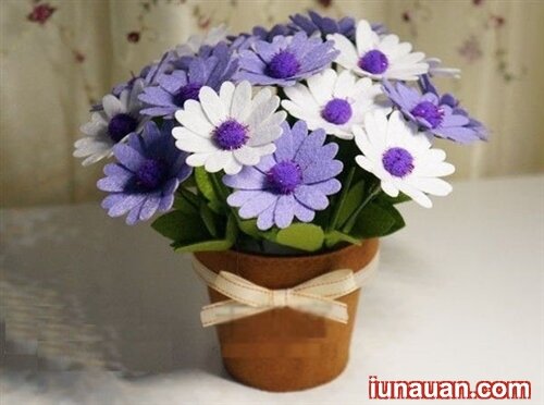 Ảnh minh họa 2 - Khéo tay làm chậu hoa cúc cho nhà thêm xinh !
