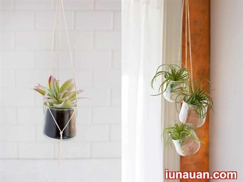 Ảnh minh họa 4 - Hô biến lọ thủy tinh cũ thành những chậu trồng cây xinh xắn bằng những cách đơn giản !