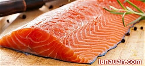 Ảnh minh họa 1 - Giá trị dinh dưỡng mà cá hồi mang lại cho sức khỏe !