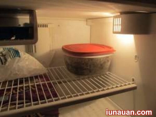 Ảnh minh họa 3 - Hướng dẫn cách trồng nấm kim châm tại nhà thành công ngay từ lần đầu !