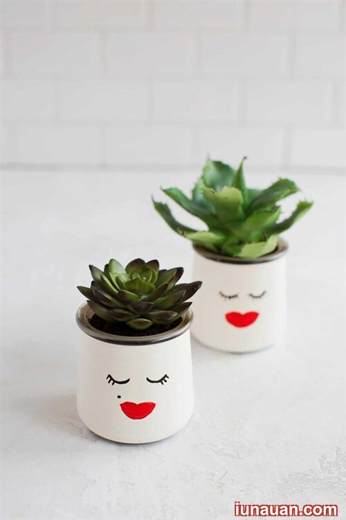 Ảnh minh họa 3 - Hô biến lọ thủy tinh cũ thành những chậu trồng cây xinh xắn bằng những cách đơn giản !