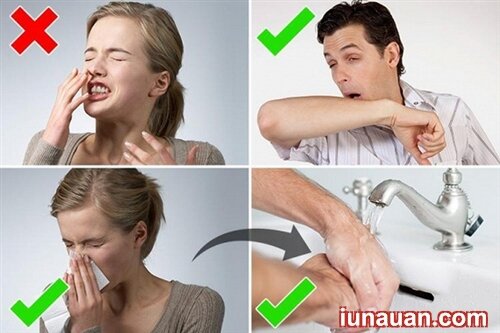 Ảnh minh họa 3 - 9 cách phòng ngừa covid 19 căn bản !