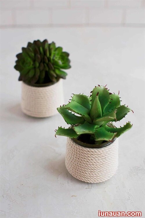 Ảnh minh họa 2 - Hô biến lọ thủy tinh cũ thành những chậu trồng cây xinh xắn bằng những cách đơn giản !