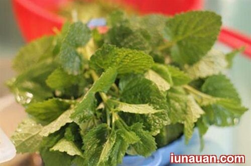 Ảnh minh họa 12 - Cách làm món bún riêu chay ngon miệng, nhẹ nhàng cho ngày rằm !