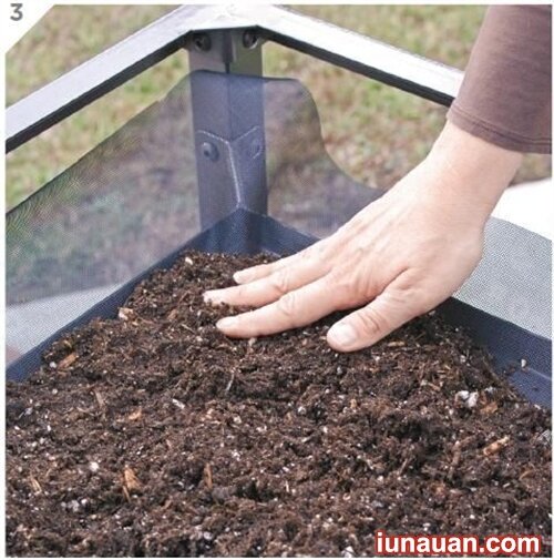 Ảnh minh họa 5 - Tự làm bàn trồng cây độc đáo cho nhà thêm xinh !