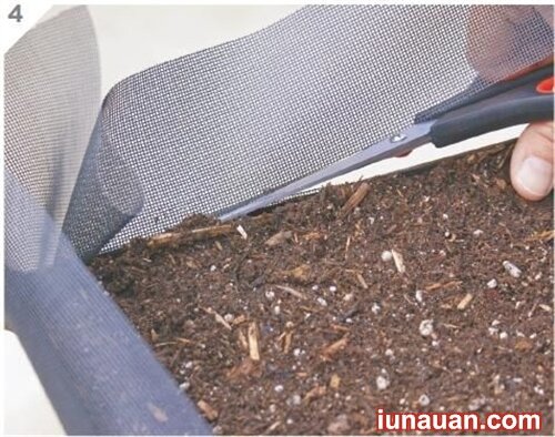 Ảnh minh họa 6 - Tự làm bàn trồng cây độc đáo cho nhà thêm xinh !