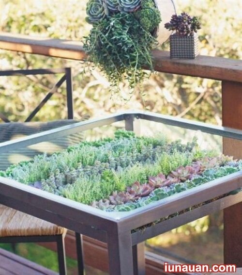 Ảnh minh họa 8 - Tự làm bàn trồng cây độc đáo cho nhà thêm xinh !