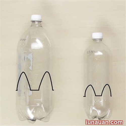 Ảnh minh họa 2 - Tận dụng chai nhựa cũ làm chậu trồng cây cực tiện ích !