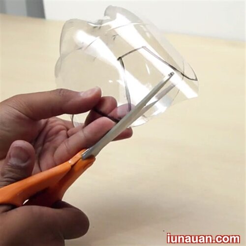 Ảnh minh họa 3 - Tận dụng chai nhựa cũ làm chậu trồng cây cực tiện ích !