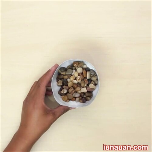 Ảnh minh họa 7 - Tận dụng chai nhựa cũ làm chậu trồng cây cực tiện ích !