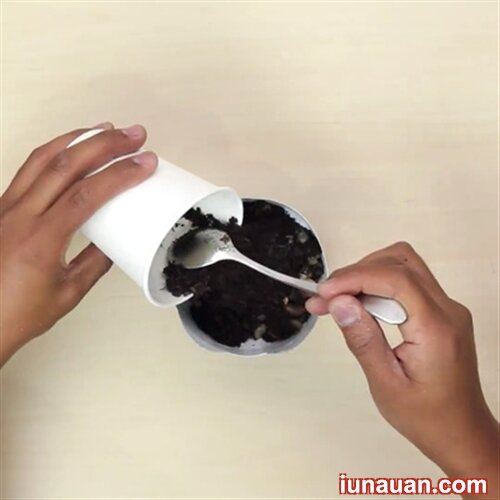 Ảnh minh họa 8 - Tận dụng chai nhựa cũ làm chậu trồng cây cực tiện ích !