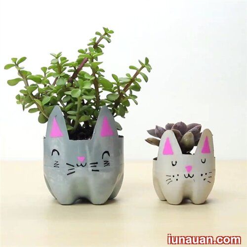 Ảnh minh họa 11 - Tận dụng chai nhựa cũ làm chậu trồng cây cực tiện ích !