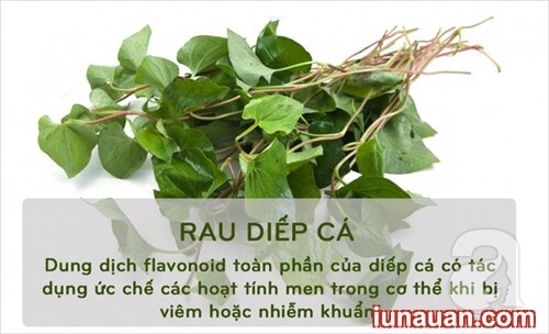 Ảnh minh họa 6 - 6 loại thực phẩm có tác dụng như thuốc kháng sinh vừa phổ biến, vừa hiệu quả !