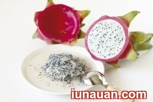 Ảnh minh họa 2 - Chậu cây xinh xắn lạ mắt từ hạt thanh long !