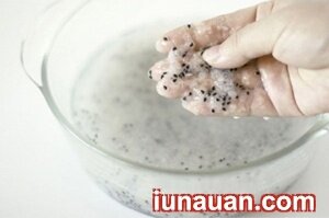 Ảnh minh họa 3 - Chậu cây xinh xắn lạ mắt từ hạt thanh long !