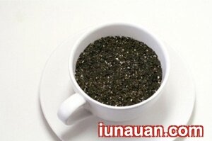 Ảnh minh họa 7 - Chậu cây xinh xắn lạ mắt từ hạt thanh long !