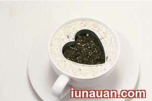 Ảnh minh họa 8 - Chậu cây xinh xắn lạ mắt từ hạt thanh long !
