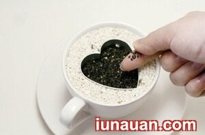 Ảnh minh họa 9 - Chậu cây xinh xắn lạ mắt từ hạt thanh long !