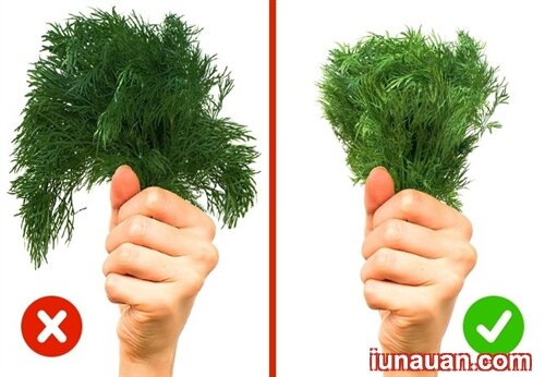 Ảnh minh họa 7 - Bí quyết chọn thực phẩm sạch khi đi chợ của các mẹ đảm đang