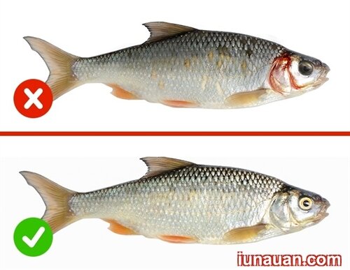 Ảnh minh họa 5 - Bí quyết chọn thực phẩm sạch khi đi chợ của các mẹ đảm đang