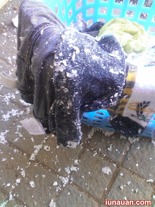 Ảnh minh họa 1 - Xử lý thế nào nếu quần áo dính đầy giấy vụn để quên trong máy giặt?