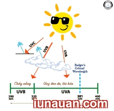 Ảnh minh họa 1 - Hiểu đúng về tác hại của tia UV để bảo vệ da tốt nhất