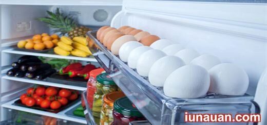 Có nên để trứng ở cánh cửa tủ lạnh?