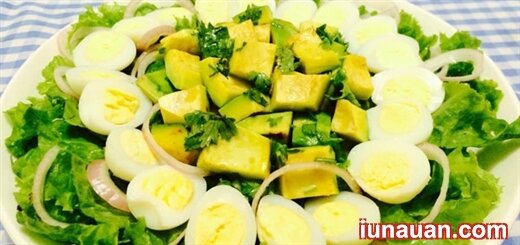 Thanh mát dễ ăn với món salad trái bơ siêu ngon miệng !