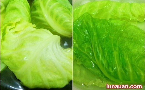 Ảnh minh họa 5 - Cách làm món bắp cải cuộn chay thơm ngon, thanh mát !