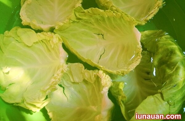 Ảnh minh họa 3 - Cách làm món bắp cải cuộn chay thơm ngon, thanh mát !