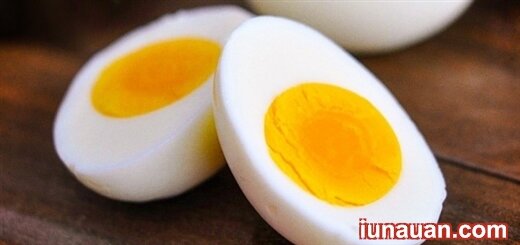 Ăn trứng vào buổi sáng giúp giảm cân nhanh hơn !